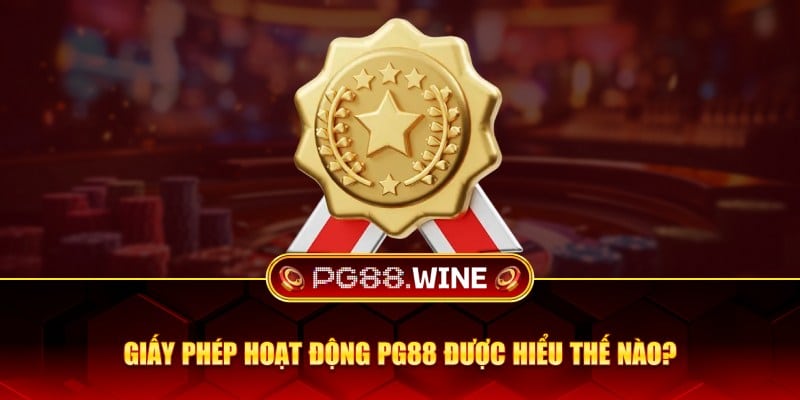 Giấy phép hoạt động PG88 được hiểu thế nào?